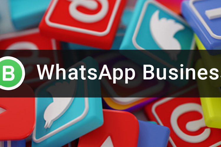 Whats App Business Guide